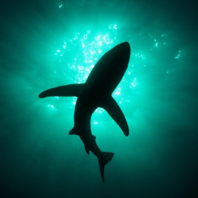 1920 x 1080 HD Wallpapers 2075